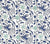 China Seas Fabric: Seya - Custom Blue / Sky on White 100% Linen