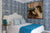 China Seas Fabric: Seya - Custom Azalea / Adobe on White Suncloth (OUTDOOR)