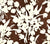 Quadrille Fabric: Tulips Background - Custom Brown on White Belgian Linen / Cotton