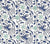 China Seas Fabric: Seya - Custom Blue / Sky on White 100% Linen