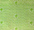 Quadrille Fabric Carlo II Custom Green on White 100% Belgian Linen
