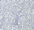China Seas Fabric: Arbre de Matisse - Custom French Lilac on White 100% Linen