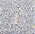 China Seas Fabric: Arbre de Matisse - Custom White on Sky Blue Kinkaid Cloth (OUTDOOR)