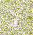 China Seas Fabric: Arbre de Matisse Reverse - Jungle Green on Tinted Belgian Linen