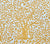 China Seas Fabric: Arbre de Matisse - Custom Inca Gold on Tinted 100% Linen