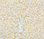 China Seas Wallpaper: Arbre De Matisse Reverse - Custom Wheeling Neutral on White Paper (FIVE YARD MINIMUM)