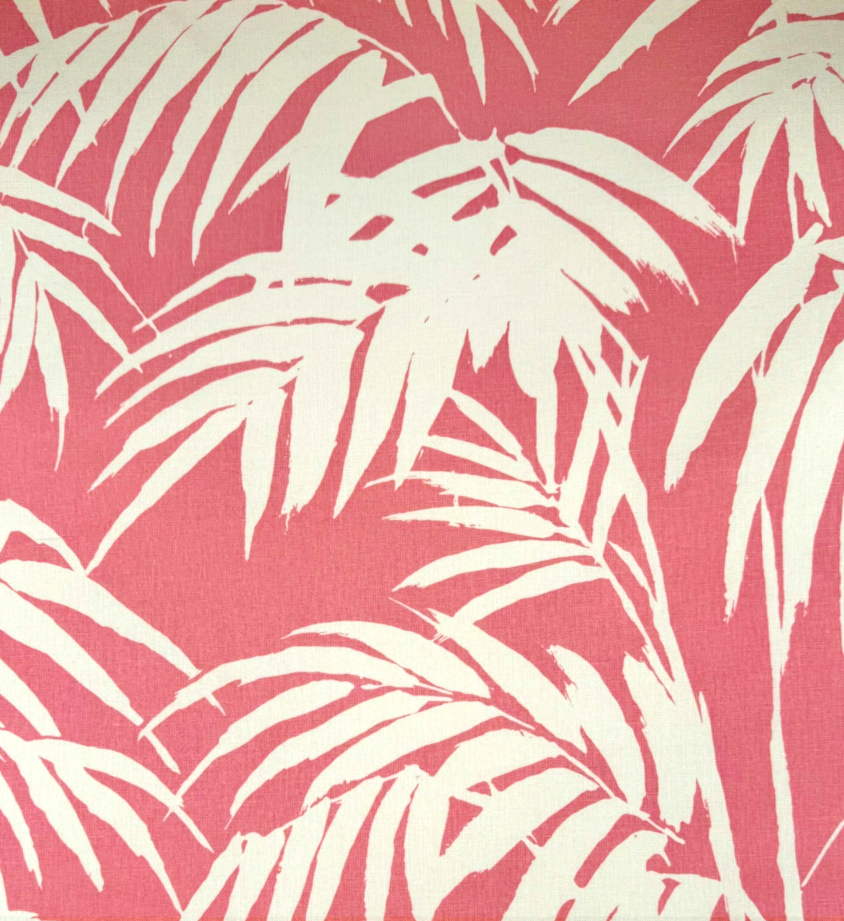 White palm leaf pattern on a pink background