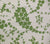 China Seas Fabric: Lysette - Custom Palm Green on Tinted 100% Cotton Slub Duck