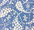 China Seas Fabric: Lysette Reverse - Custom French Blue on White Belgian Linen / Cotton