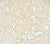 China Seas Fabric: Bonaire II - Custom White on Beige Belgian Linen / Cotton