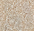 Alan Campbell Fabric: Meloire Reverse - Custom Camel II on White Belgian Linen / Cotton