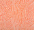 Home Couture Wallpaper: Sauvage Reverse - Custom Coral on White Matte Paper (FIVE YARD MINIMUM)