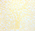 China Seas Fabric: Arbre de Matisse - Custom Yellow on White Belgian Linen / Cotton