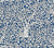 China Seas Fabric: Arbre de Matisse Reverse - Custom Athens Blue on White Belgian Linen / Cotton