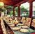 Bali_Isle_dining_hall_chairs